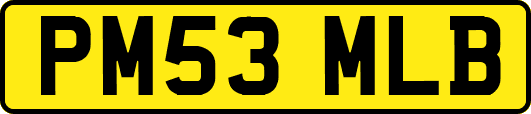 PM53MLB