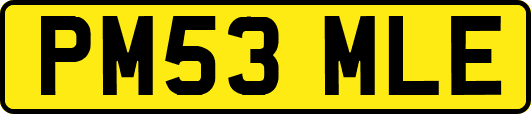 PM53MLE