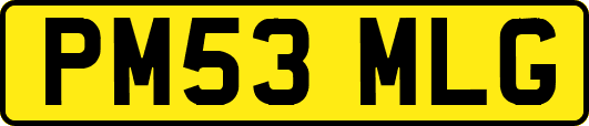 PM53MLG