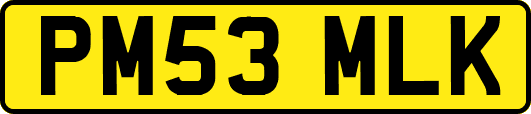 PM53MLK