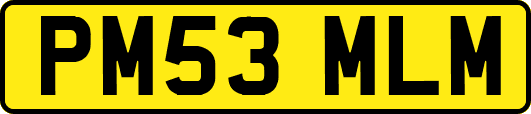 PM53MLM