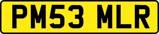 PM53MLR