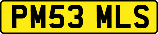 PM53MLS