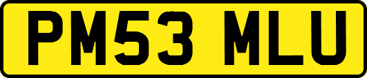 PM53MLU