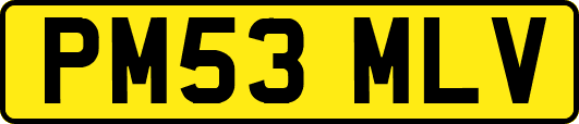 PM53MLV