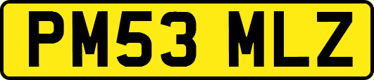 PM53MLZ