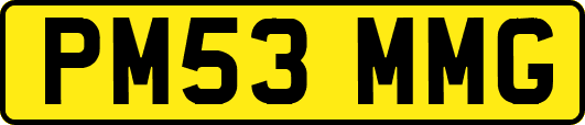PM53MMG