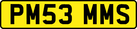 PM53MMS