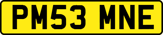 PM53MNE