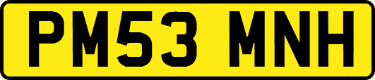 PM53MNH