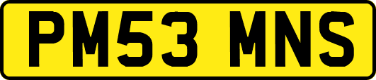 PM53MNS