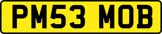 PM53MOB