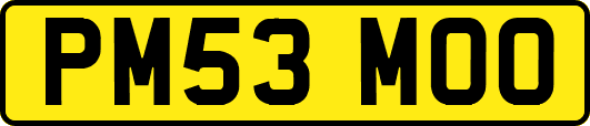 PM53MOO