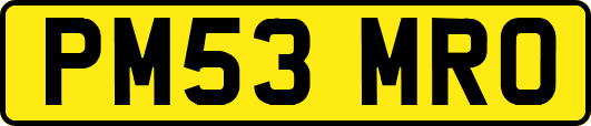 PM53MRO