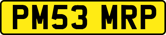 PM53MRP
