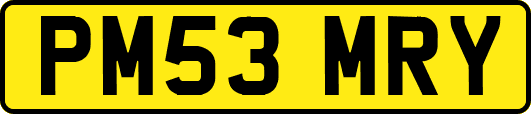 PM53MRY