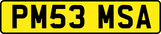 PM53MSA