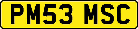 PM53MSC