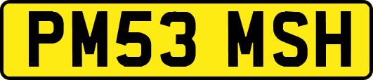 PM53MSH