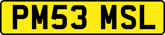 PM53MSL