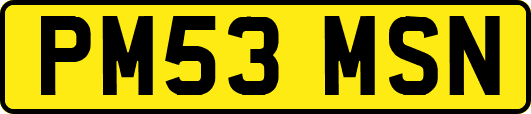 PM53MSN