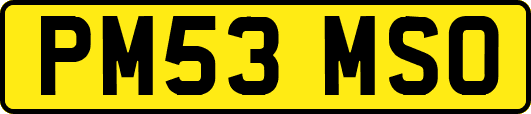 PM53MSO