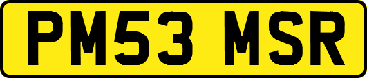 PM53MSR