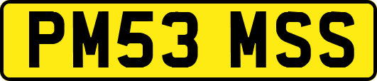 PM53MSS