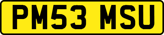 PM53MSU