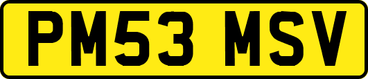 PM53MSV