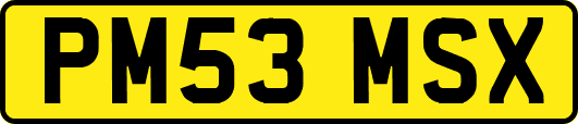 PM53MSX