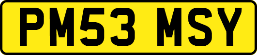 PM53MSY