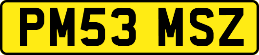 PM53MSZ