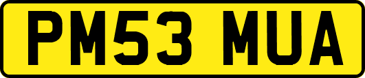 PM53MUA