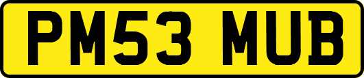 PM53MUB