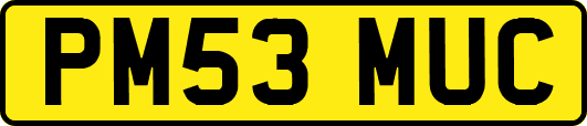 PM53MUC
