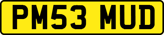 PM53MUD