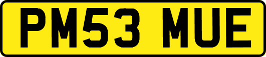 PM53MUE