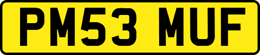 PM53MUF