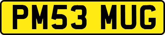 PM53MUG