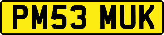PM53MUK