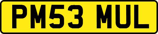 PM53MUL