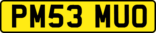 PM53MUO