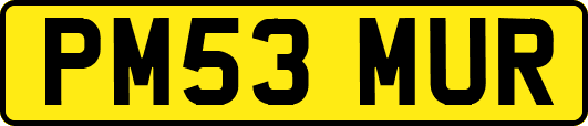 PM53MUR