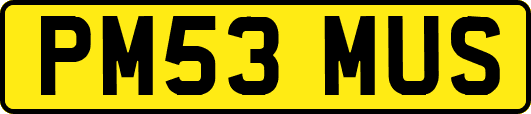 PM53MUS