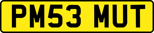PM53MUT