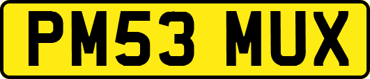 PM53MUX