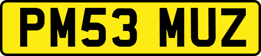 PM53MUZ