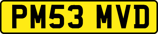 PM53MVD