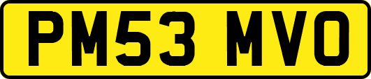 PM53MVO